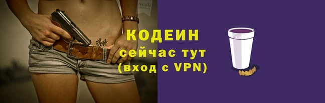 гашик Алзамай