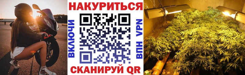 где можно купить   Дудинка  Бошки марихуана конопля 
